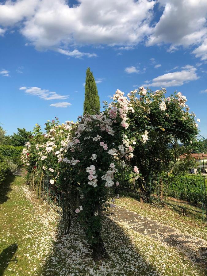Hotel Il Giardino Di Flora Buti Zewnętrze zdjęcie